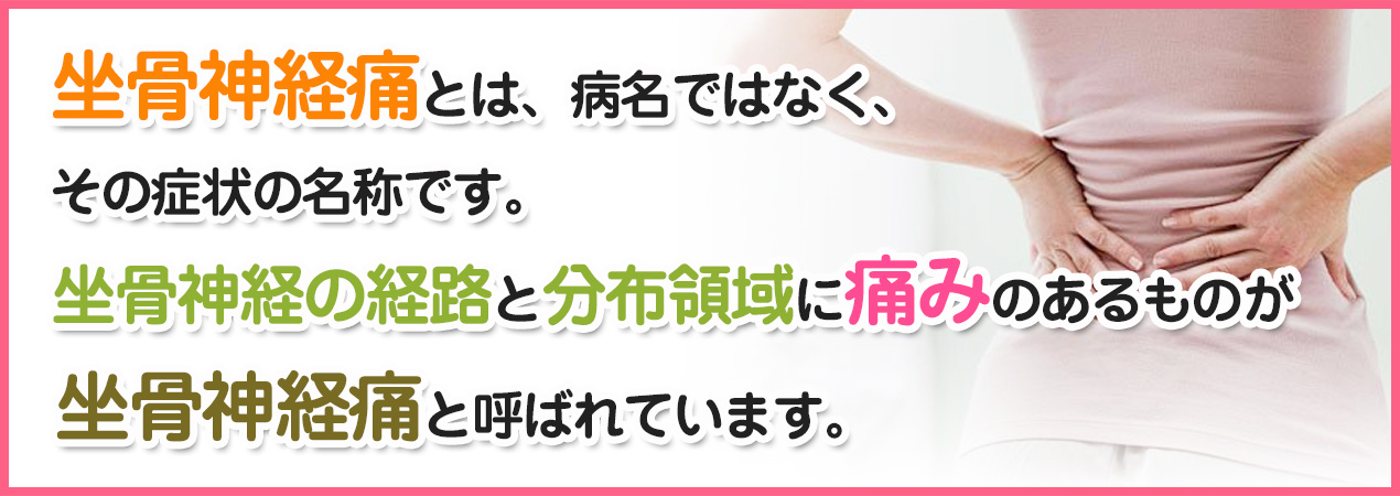 坐骨神経痛とは、病名ではなく、
その症状の名称です。坐骨神経の経路と分布領域に痛みのあるものが坐骨神経痛と呼ばれています。